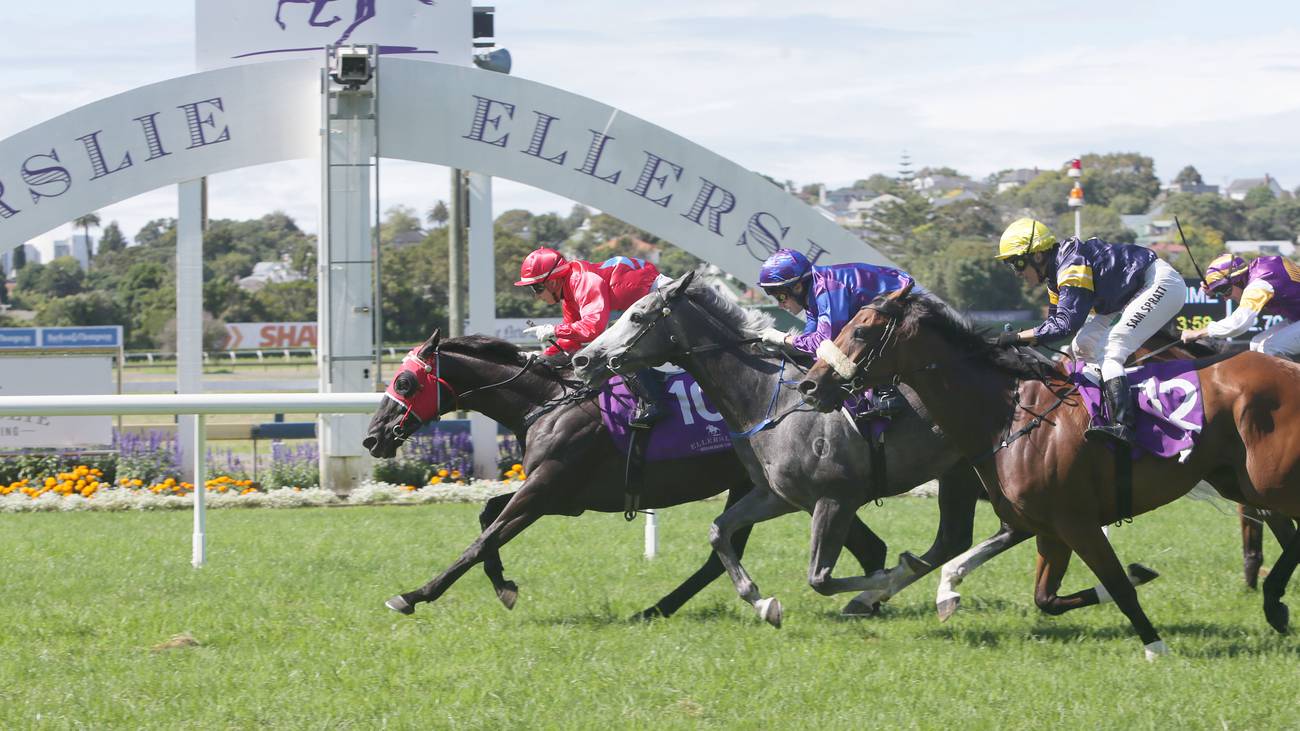 6m makeover for Ellerslie racecourse NZ Herald