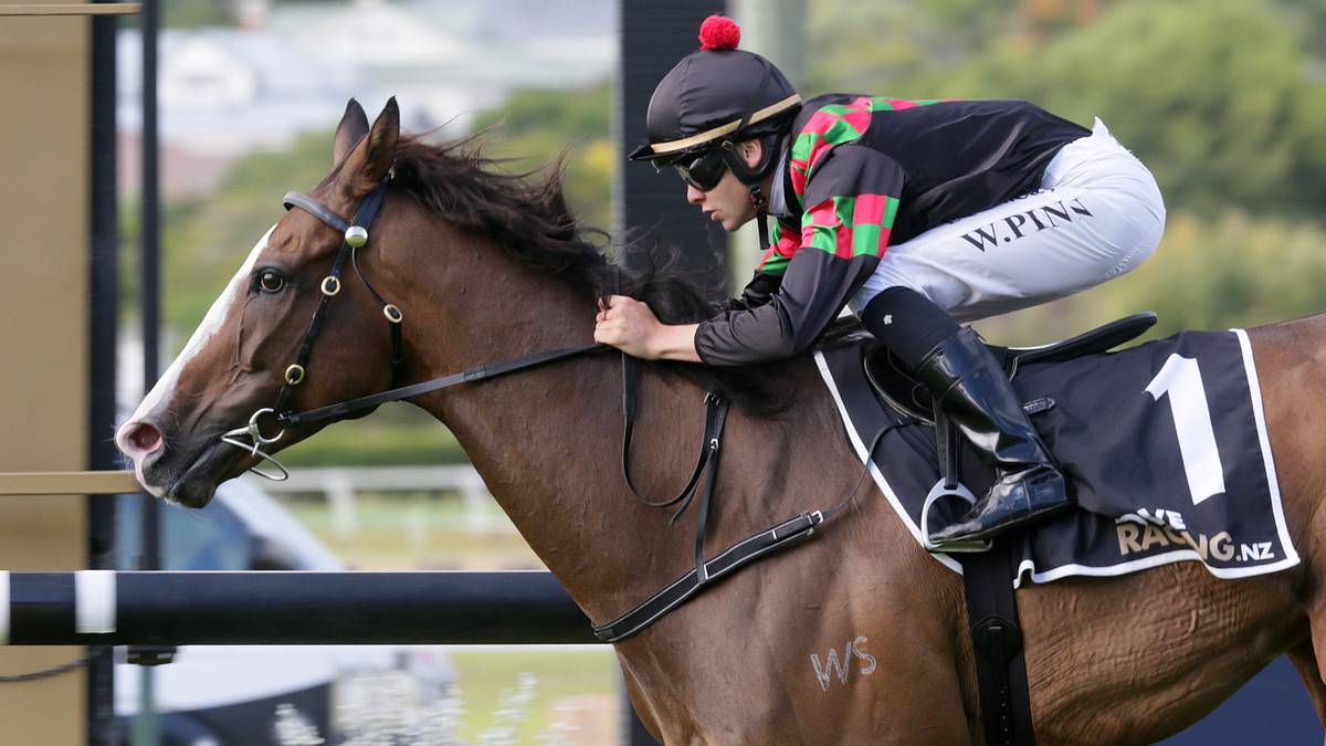 Racing: Wiremu Pinn wings his way to Melbourne in winning form