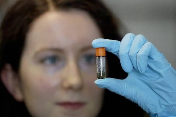 Jess O'Hara a research technician handles a sample from a volunteer whilst testing antibodies to see if they bind to the virus, in the laboratory at Imperial College in London. Photo / AP