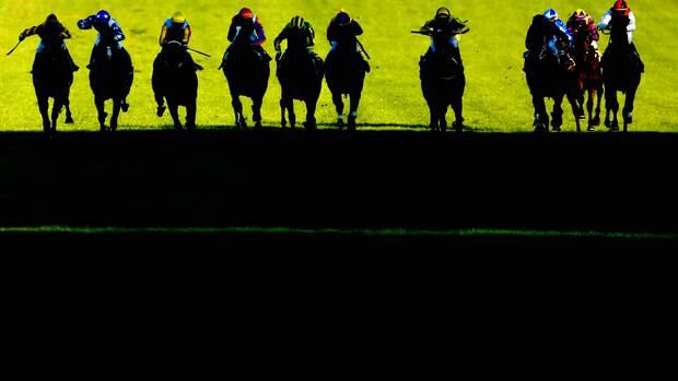 The Racing Industry Transition Agency have been under attack from many sectors. Photo / Getty