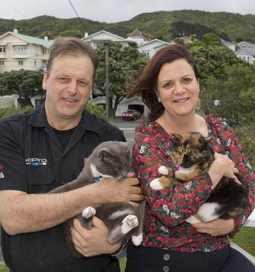 Cat Tracking Study An Eye Opener For Owners Nz Herald