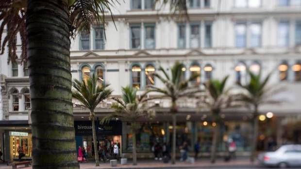 Nikau palms on Auckland's Queen St show natives are a genuine urban option. Photo File