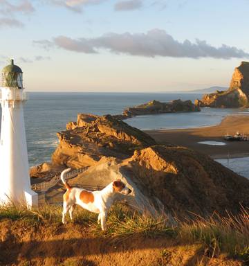 Kia Ora Castlepoint Nz Herald