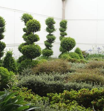 Intriguing Garden Plantings Nz Herald