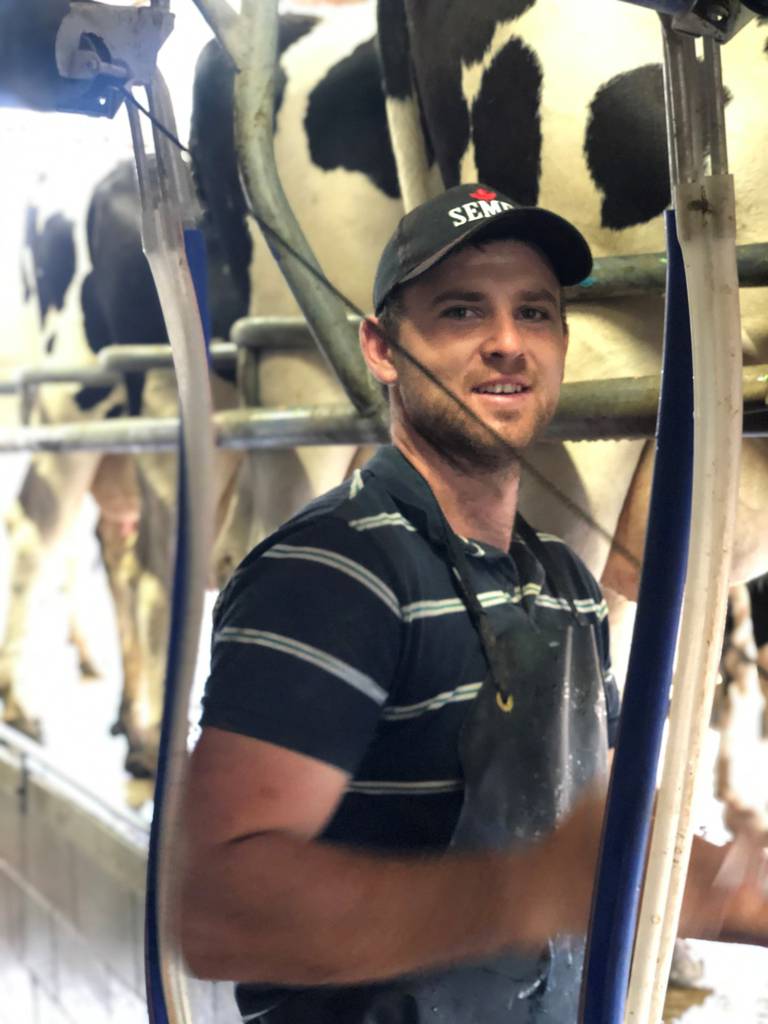 Waikato dairy farmers reduce herd numbers, increase overall production ...
