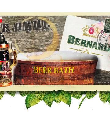Bar Fly Bernard Beer Spa Prague Nz Herald
