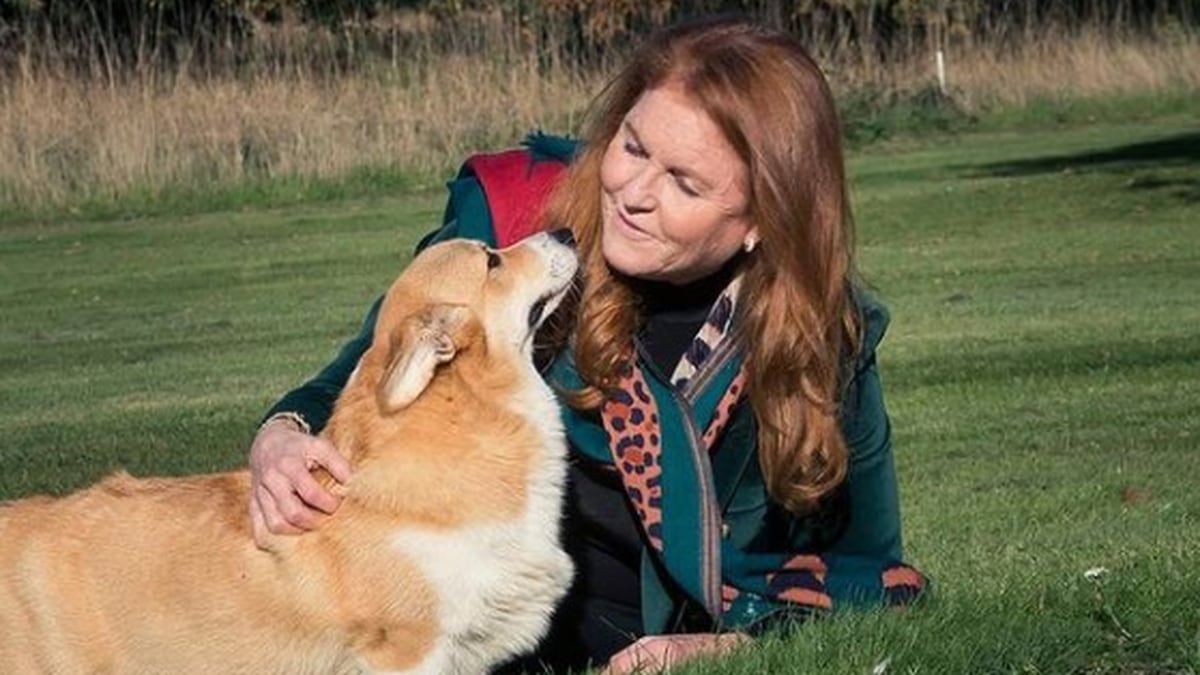 Sarah Ferguson lubi myśleć, że psy królowej Elżbiety wciąż szczekają na zmarłego monarchę