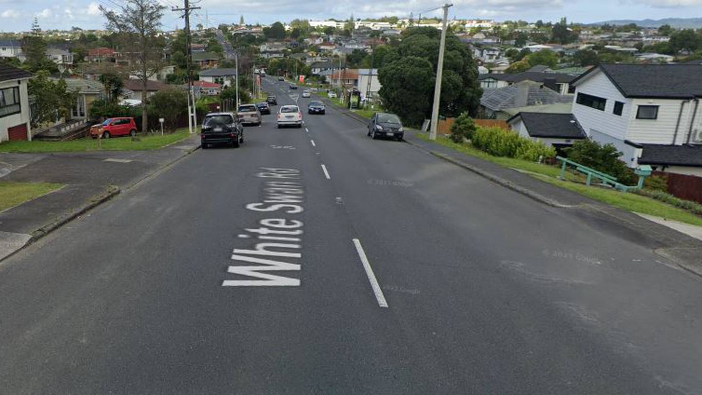 A bus driver was stabbed on White Swan Rd in Mt Roskill on Saturday night. Photo / Google Maps