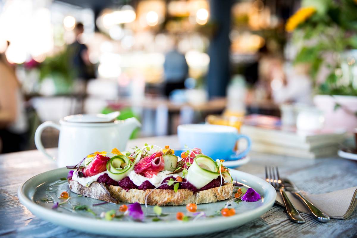 Our Favourite Auckland Eats From Kid Friendly To Fish And Chips