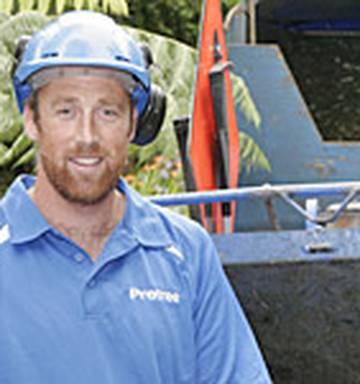 I My Job I Professional Tree Services Nz Herald