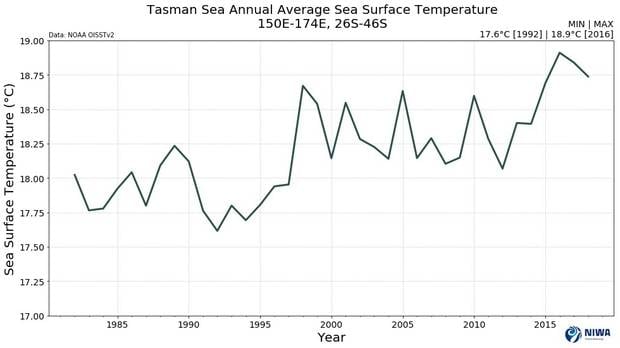 In 2018 the the Tasman Sea experienced its thrid warmest year on record, with an average temperature of 18.7C. Image / Niwa
