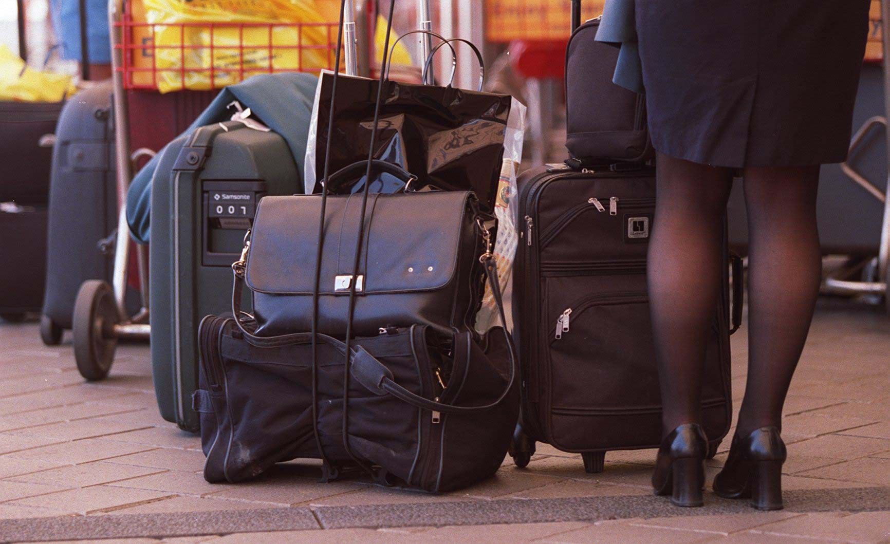 Air New Zealand quietly increases luggage prices pet fees NZ Herald
