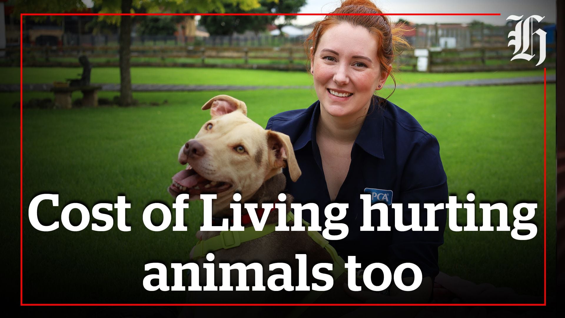 Watch: Cost of living crisis means more animals need a home NZ