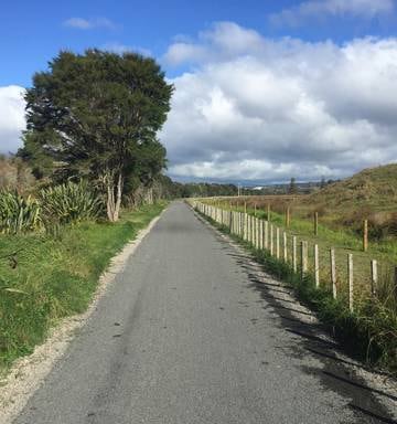 New Cycle And Walking Track Opens In Tauranga Nz Herald