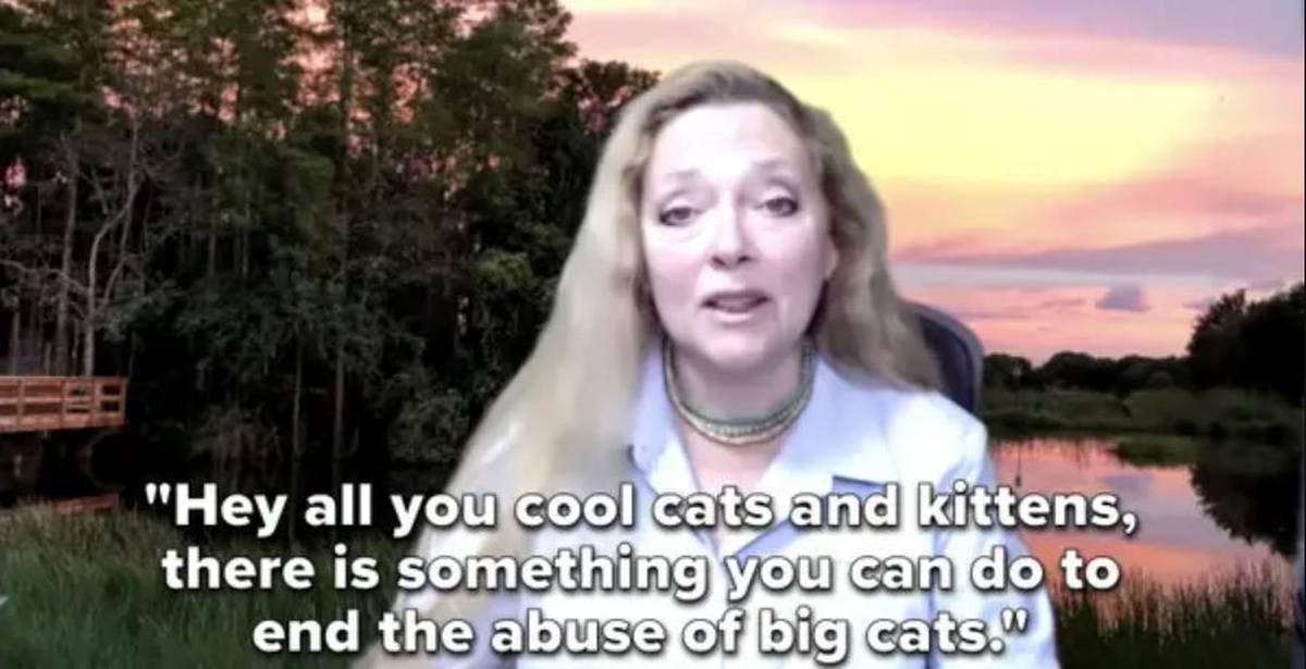 Youtubers Prank Tiger King S Carole Baskin With Jimmy Fallon