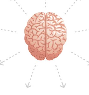 What happens to your brain when you're pregnant? - NZ Herald