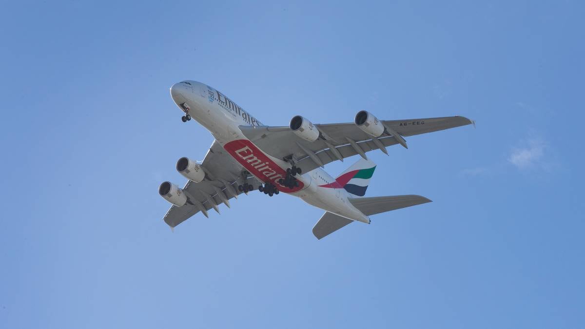 Emirates eksportuje 560 ton w Nowej Zelandii – powrót do normy
