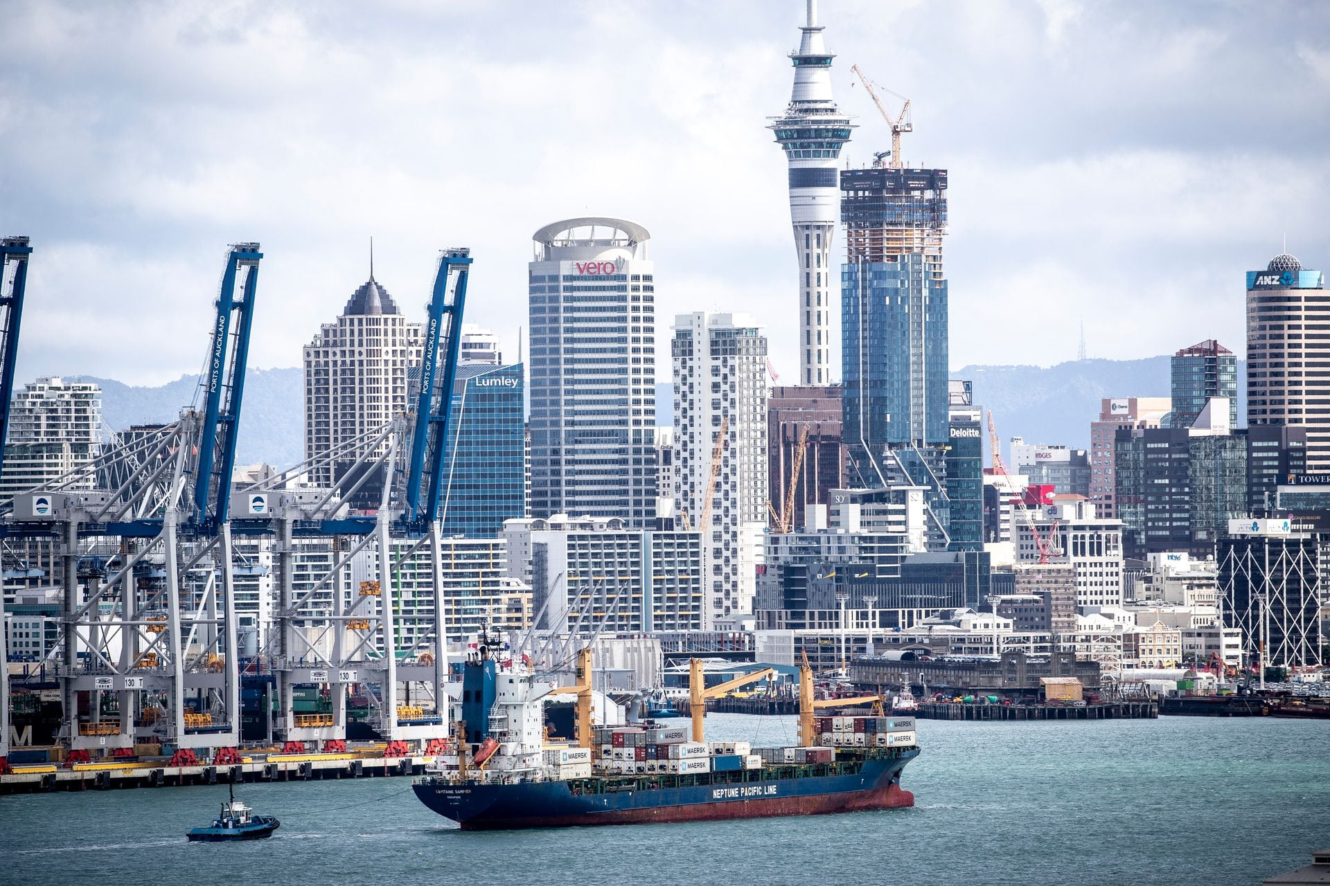 Auckland port v Wayne Brown stoush affecting thousands of city businesses  and livelihoods: port chairwoman Jan Dawson - NZ Herald