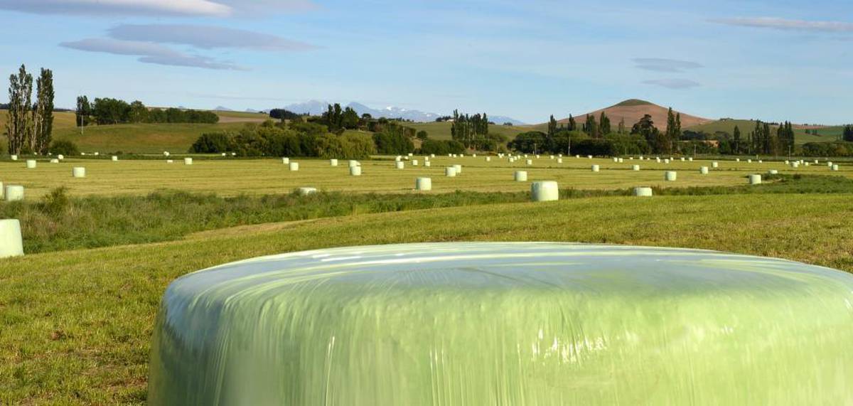 Extraordinary Season For Hay Baleage Contractors In Central Otago Wanaka Nz Herald