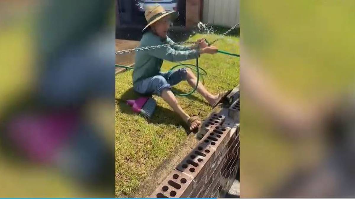 Photo of Frau filmt Sydneys wilden Nachbarstreit um Ziegelmauer