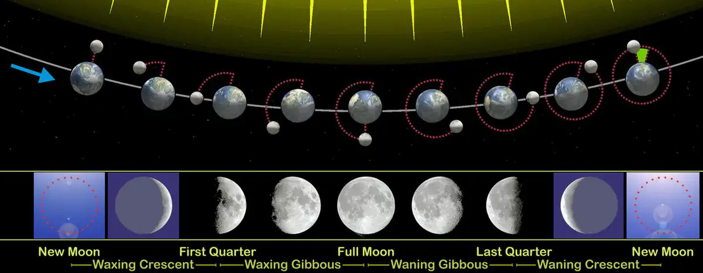 As fases da Lua correspondem a quanto do lado iluminado você pode ver da Terra.  Foto / WikimediaCommons