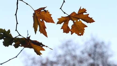 Mild First Day Of Winter For Bay Of Plenty Nz Herald