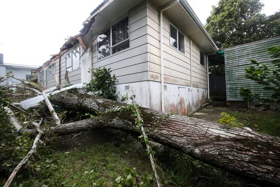 一棵树倒在了奥克兰南区Papatoetoe的Caspar Rd的一所房子上。 照片/杰森·奥克森汉姆