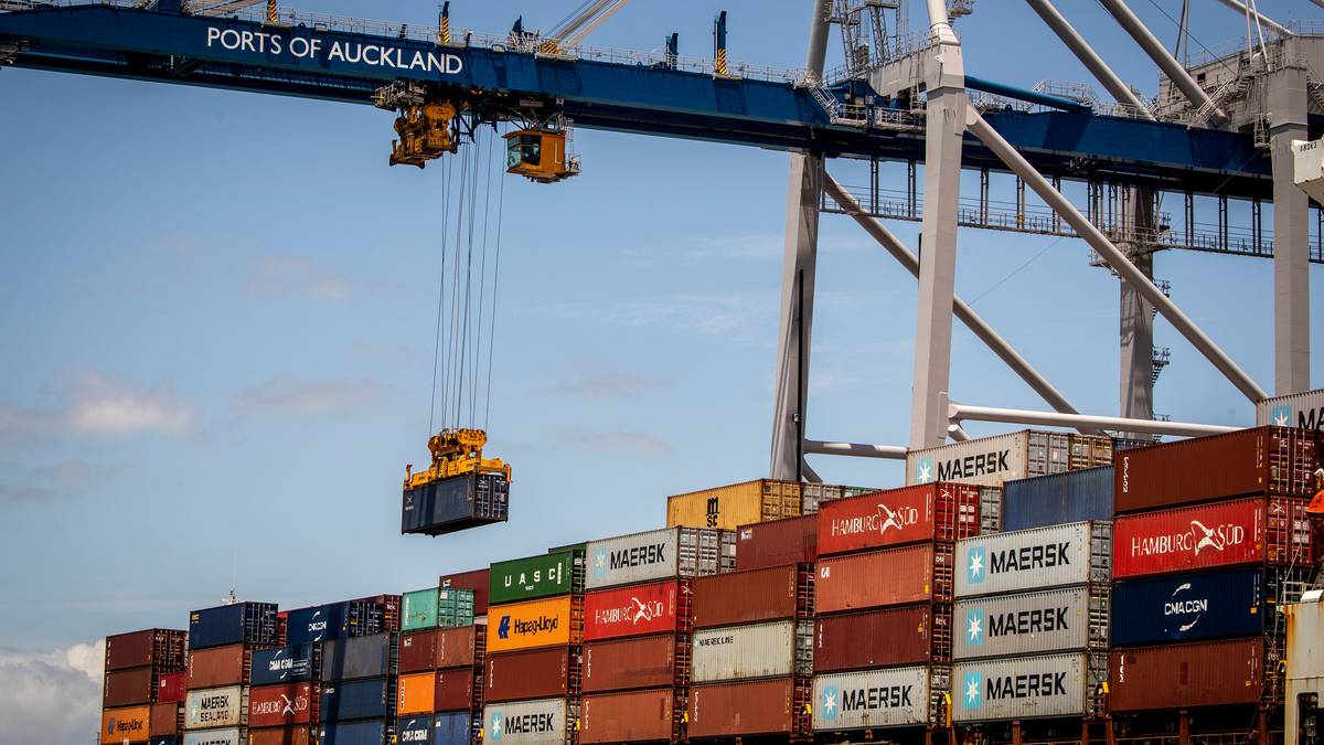 Govt-19：新西兰供应链紧张局势因中国锁定、上海港延误而恶化