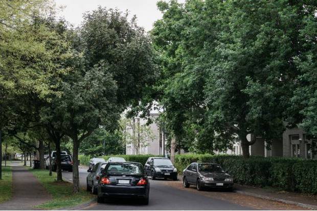 Large, overgrown oak trees in Addison's streets were found to have make it harder for residents to watch their cars or detect break-ins. Photo / Auckland Council 