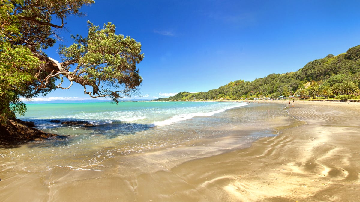 NZ’s most irresistible beachfront lodging