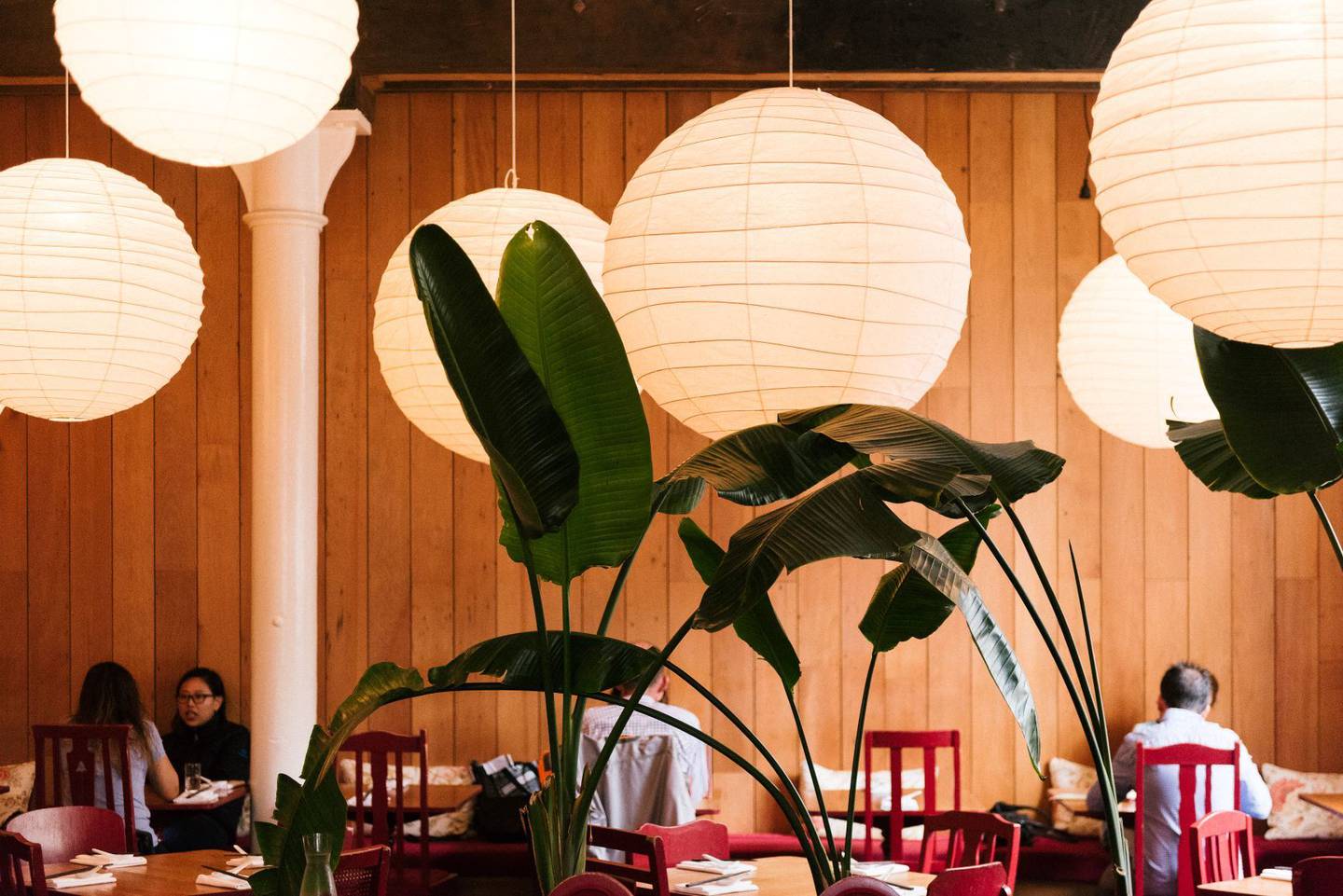 Revealed: Auckland's top 50 restaurants for 2019 unveiled - NZ Herald