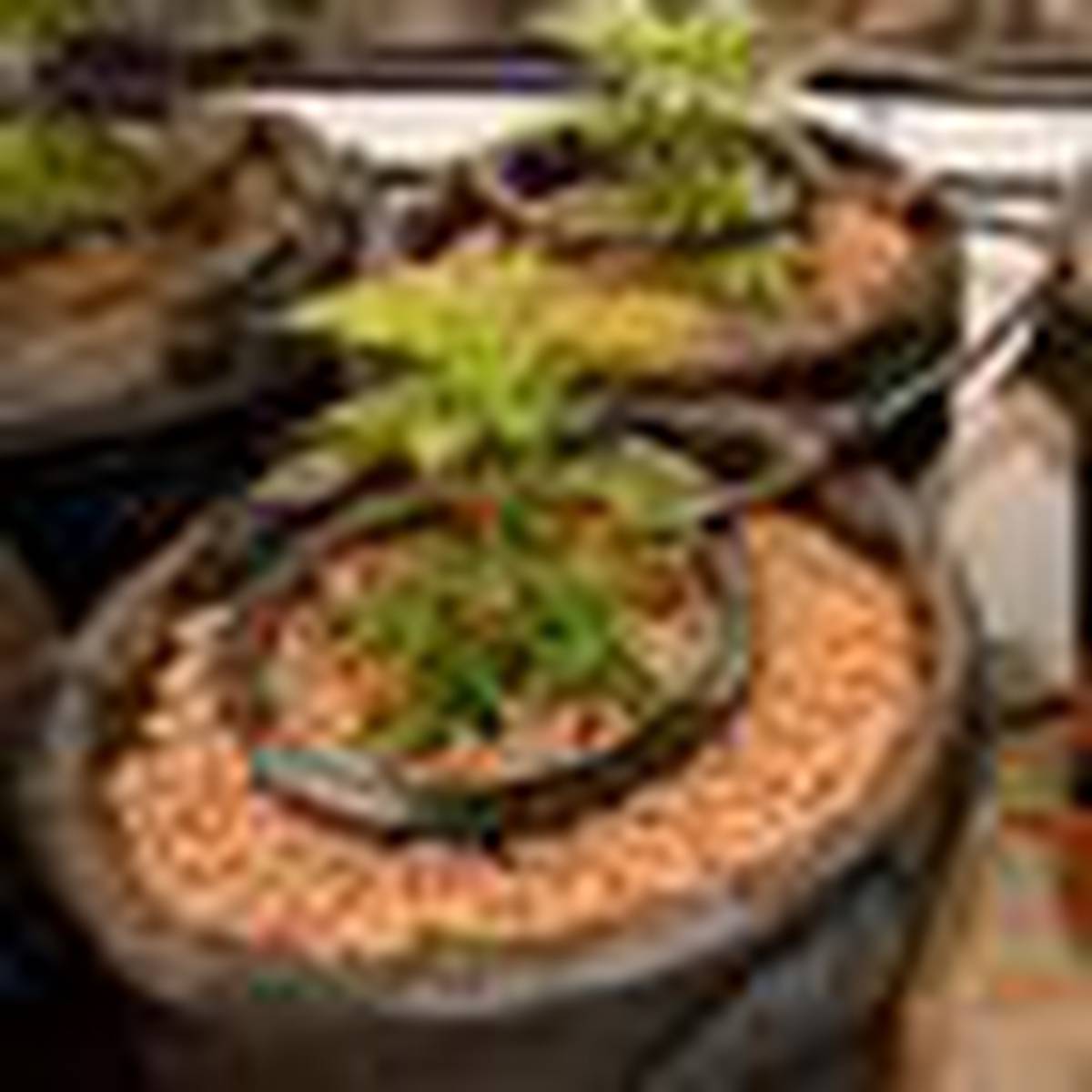Garden Store Reopens Under Strict Terms Nz Herald