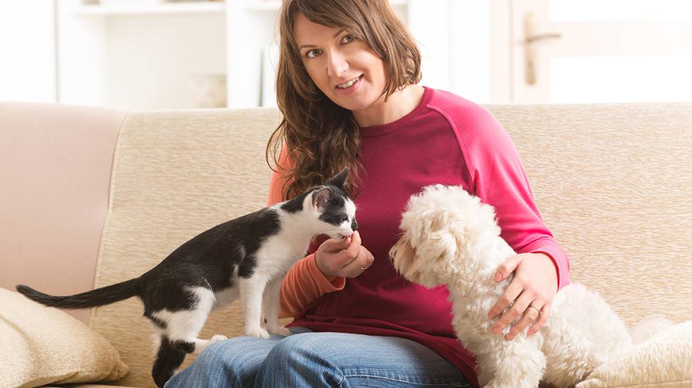 Cat Owners Have Higher Iqs Than Dog Owners Nz Herald