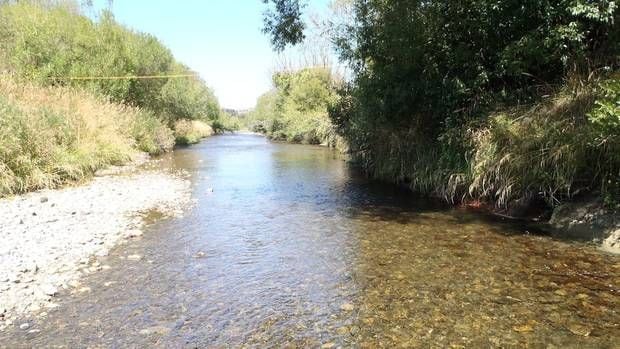 Chlorine is in Tararua district's water supplies to minimise the risk of contamination when water is sourced from rivers. Photo / NZME