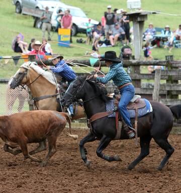 Team Roping And Barrel Racing On Show At Mid Northern Rodeo Grounds Nz Herald