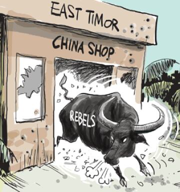 I Cartoon I Bull In A China Shop Nz Herald