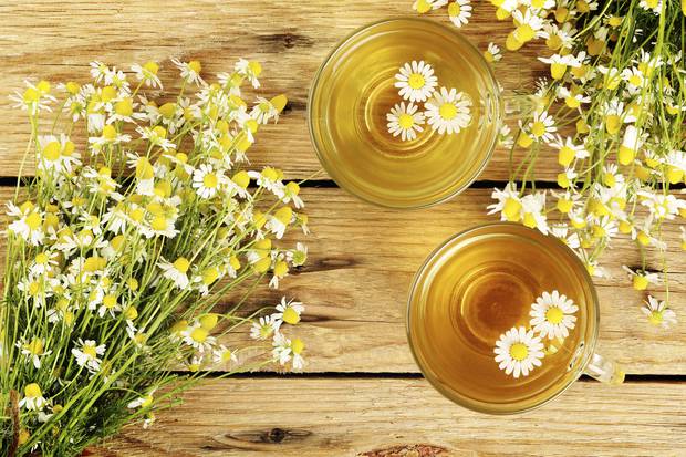 Your Health Herbal Solutions For Heartburn And Migraines Nz Herald