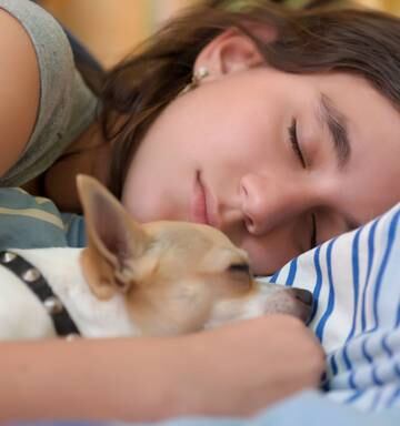The Surprising Benefits Of Sleeping Next To Your Dog Nz Herald
