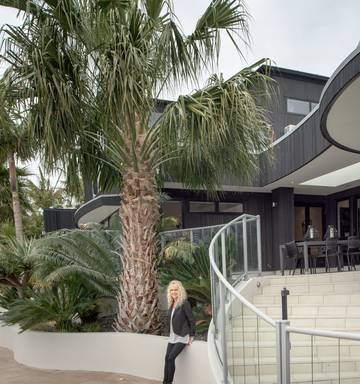 Privacy And Poolside Palm Trees Nz Herald