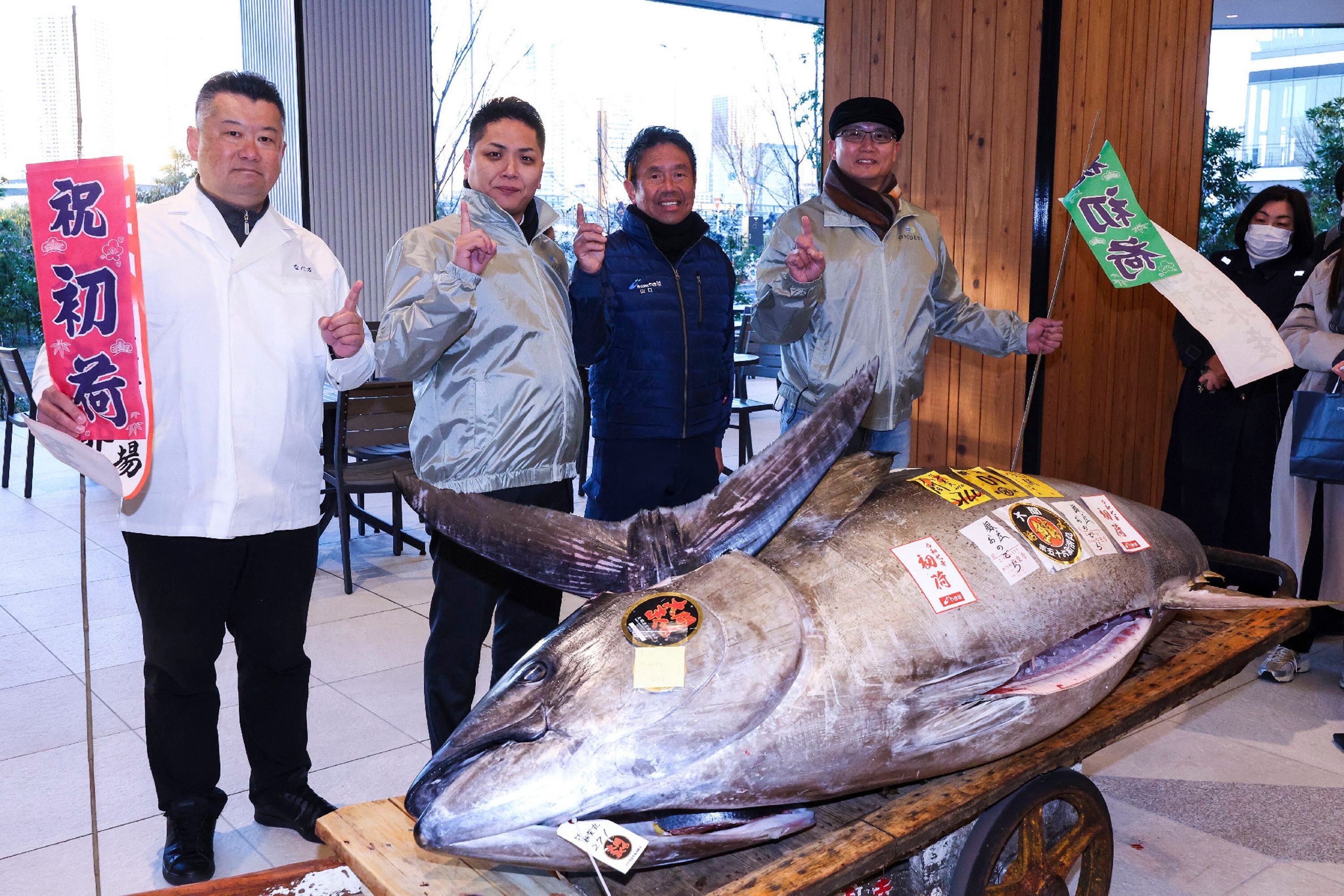 Tuna weighing as much as a grizzly bear sells for $2.3 Tuna weighing as much as a grizzly bear sells for $2.3