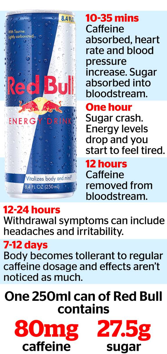 What can of Red Bull your body - NZ Herald