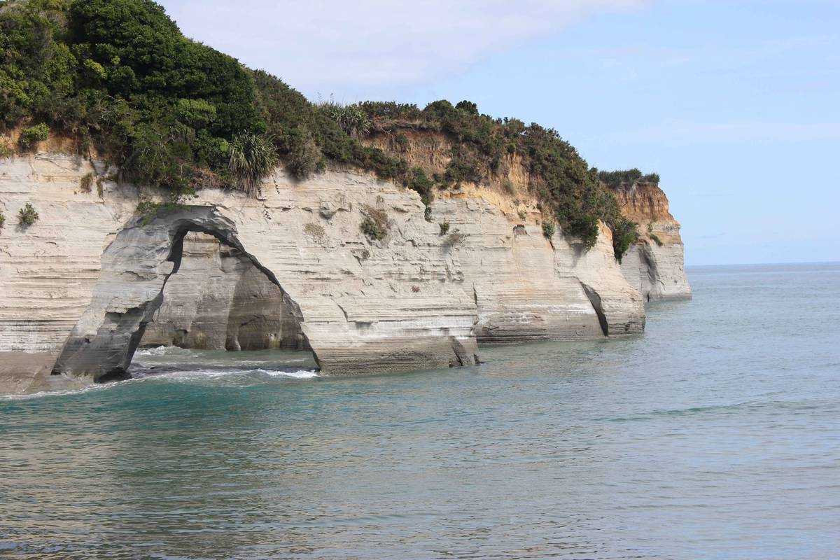 Jill Worrall: Volcanic terrains - NZ Herald