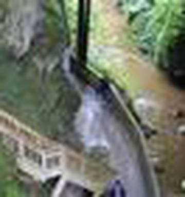 Wallpaper Waitomo Sunset Coast Secrets Nz Herald For Android Free