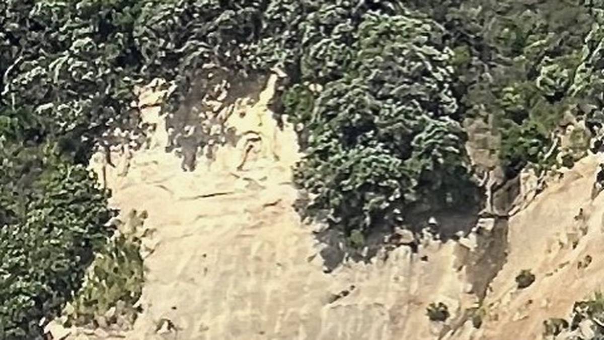 Car rolls off cliff at Musick Point, Auckland