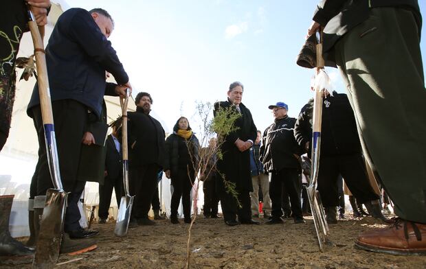The first tree of the Government's One Billion Trees programme was planted at Pukeatua, in remote Ngati Hine forestry lands. Photo / John Stone