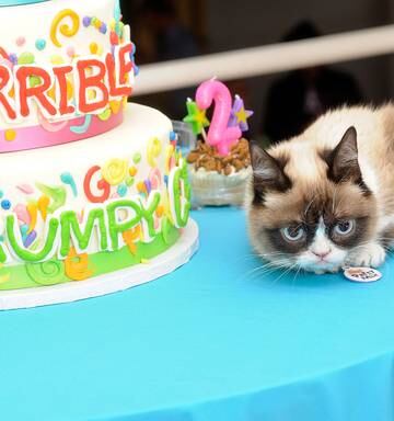 How Old Is My Pet In Dog Years Or Cat Years A Veterinarian