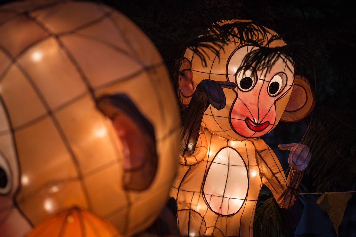 Auckland's Chinese Lantern Festival on the move NZ Herald