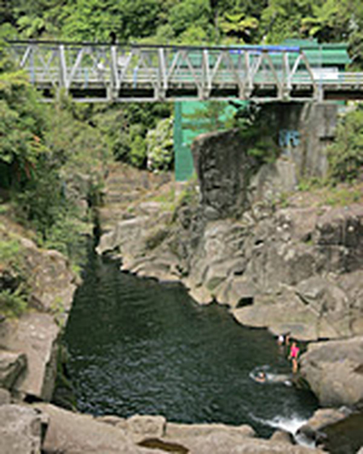 Paralysis Fear After Girl S Bridge Jump Nz Herald