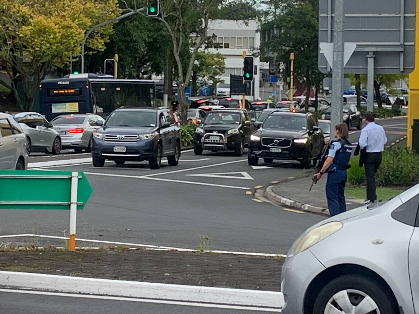 Armed police have gathered in the Auckland suburb of Henderson in Sel Peacock Drive,