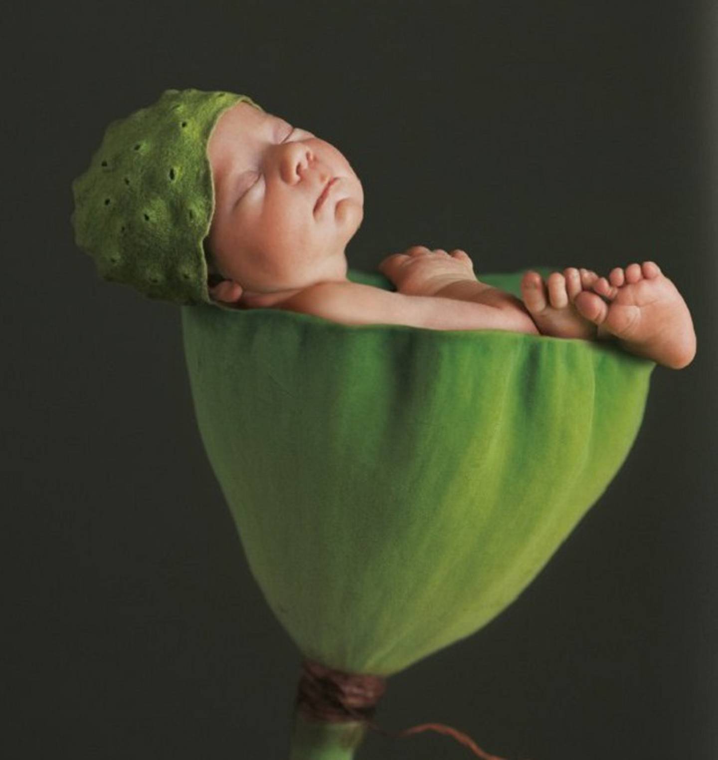 Rare images Anne Geddes released for the first time NZ Herald